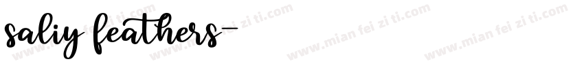 saliy feathers字体转换